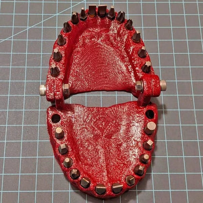 🔥49% OFF - 🧰 Denture Driver Bit Holder