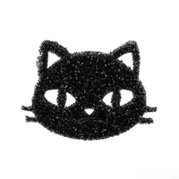 Black cat