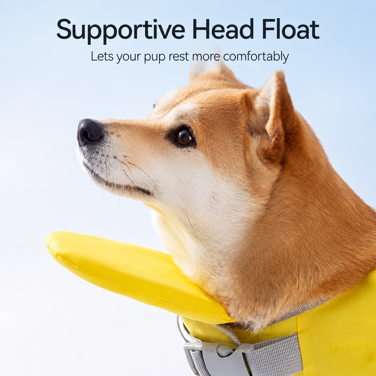 💥 LAST DAY 49% OFF - 🐕Premium Dog Life Jacket