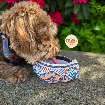 🐶2-in-1 Reversible Dog Bandana Bowl, Lightweight Spill-Proof TPU Travel Feeding Bowl for All Dogs Outdoor Hiking Camping💧