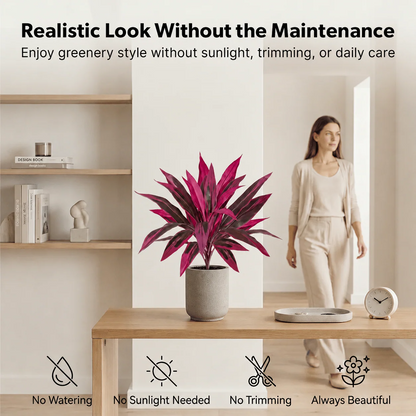 🔥Last Day 50% OFF🔥Large Realistic Artificial Boston Fern & Dragon's Blood Tree Plants