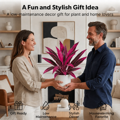 🔥Last Day 50% OFF🔥Large Realistic Artificial Boston Fern & Dragon's Blood Tree Plants