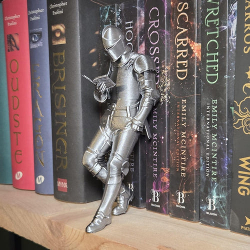 Medieval Knight Book Nook